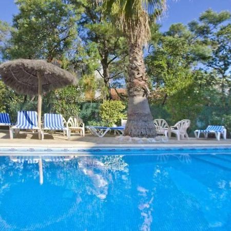Studio/F1Bis A 50 M De La Plage Argelès-sur-Mer Eksteriør bilde