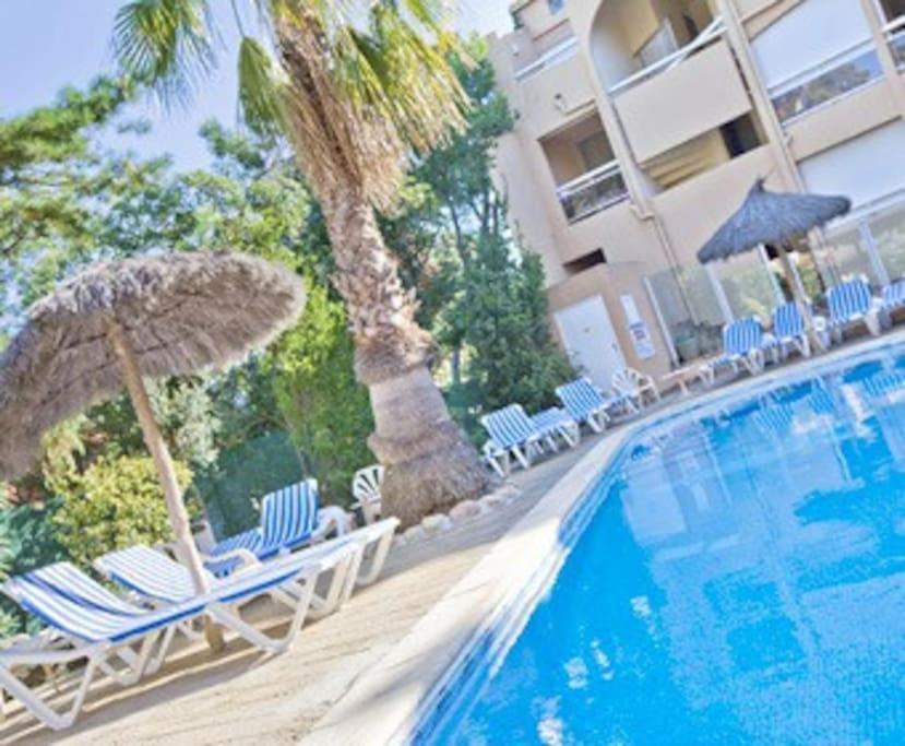 Studio/F1Bis A 50 M De La Plage Argelès-sur-Mer Eksteriør bilde